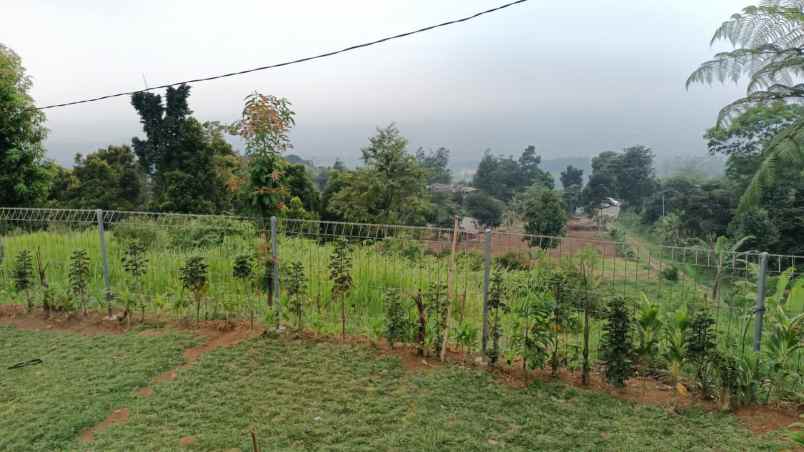 tanah cijeruk bogor
