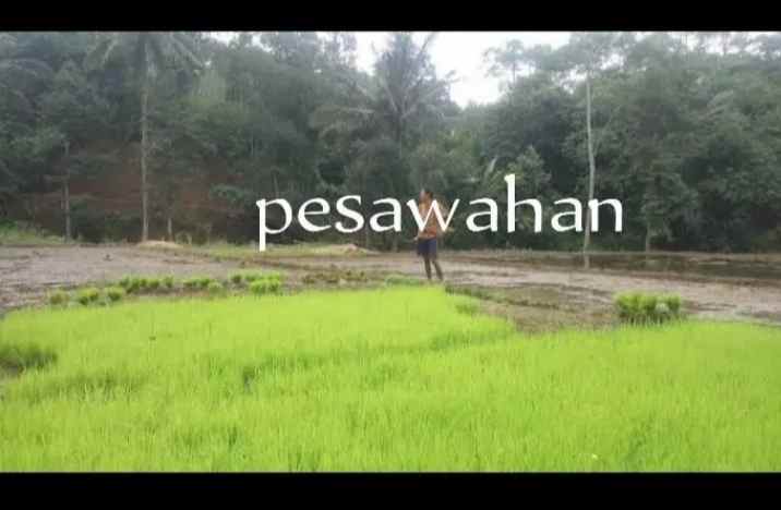 tanah dan sumber mata air panas subang jawa barat