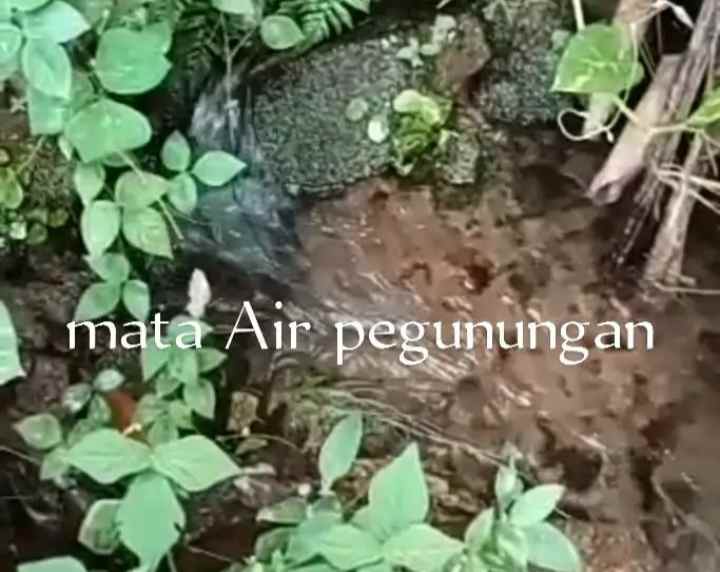tanah dan sumber mata air panas subang jawa barat