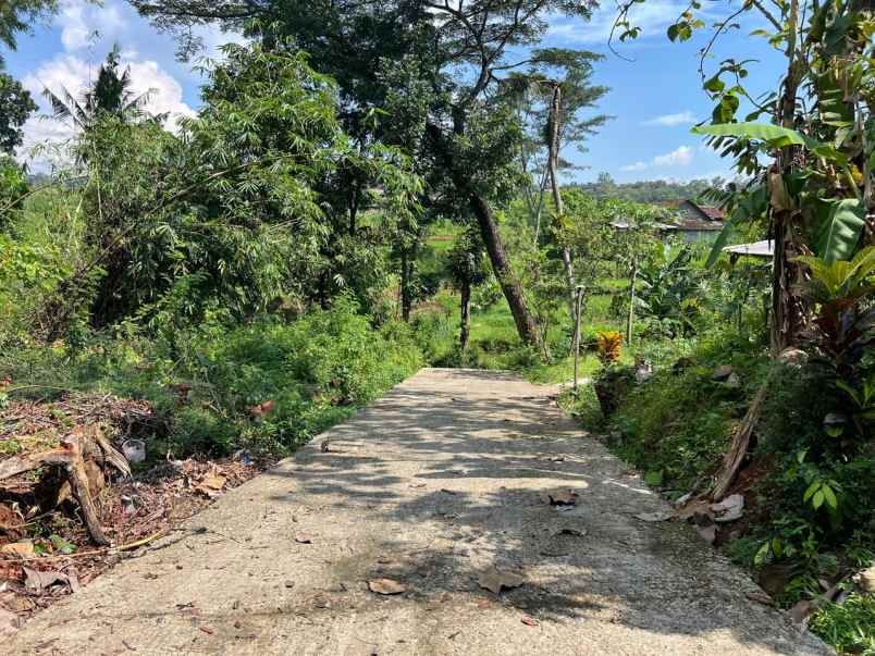 tanah datar 1646m2 350 juta mojogedang karanganyar