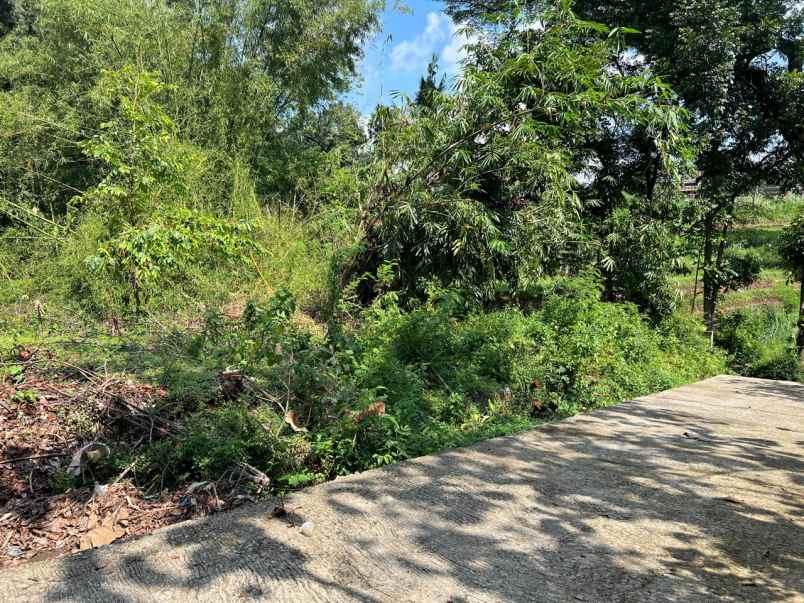 tanah datar 1646m2 350 juta mojogedang karanganyar