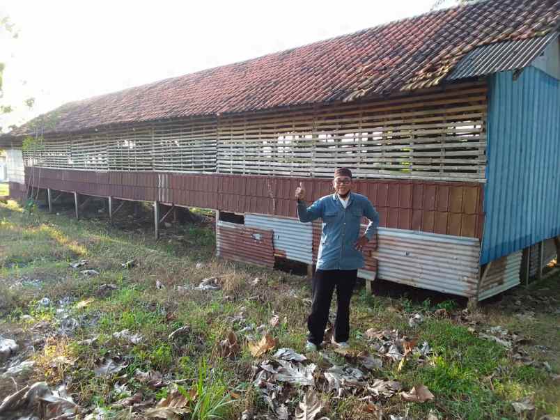 tanah di cibuntu ciampea jl h jaili