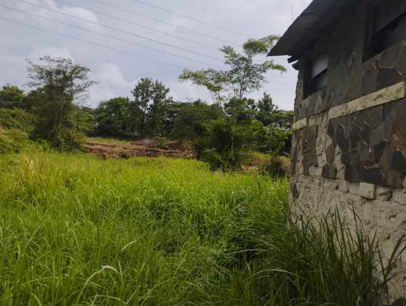 tanah di cibuntu ciampea jl h jaili