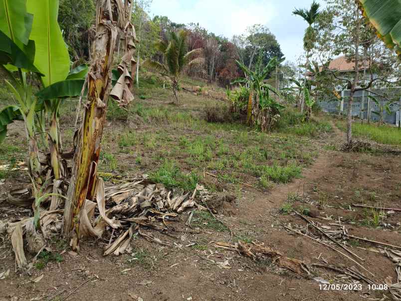 tanah di kemiling luas 1500m surat shm