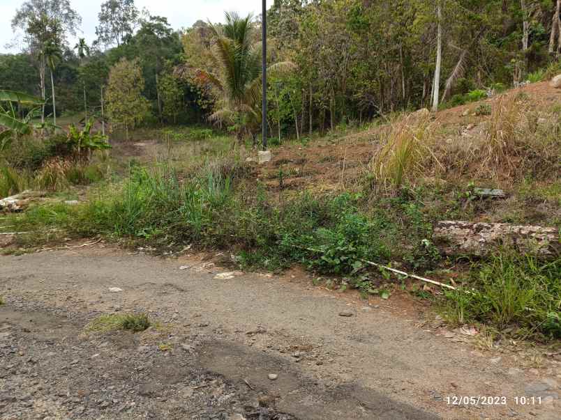 tanah di kemiling luas 1500m surat shm