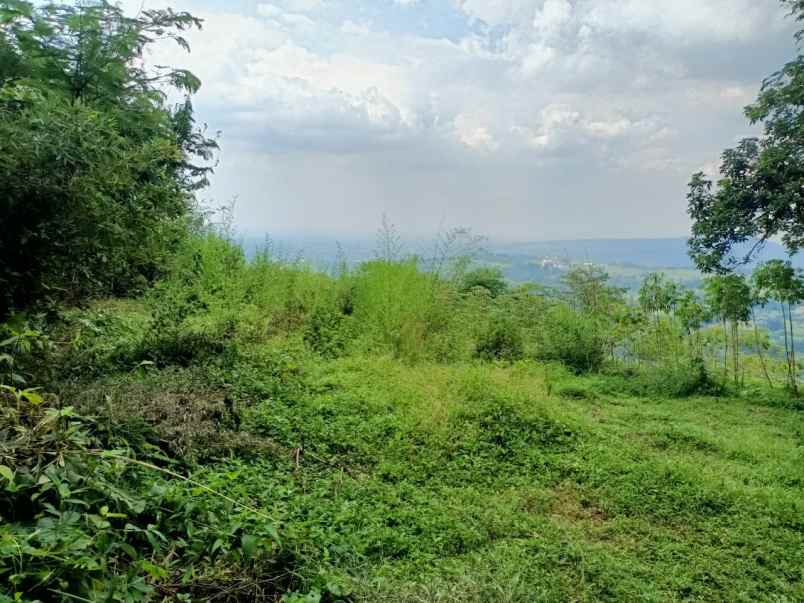 tanah gunung geulis sukaraja