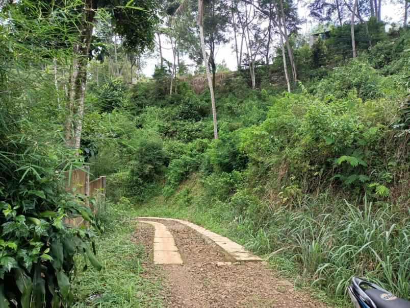 tanah gunung geulis sukaraja