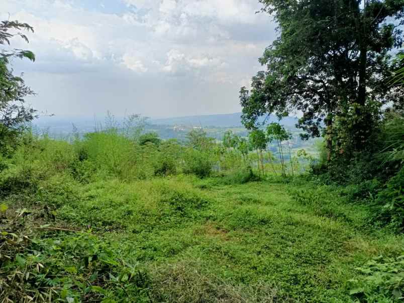 tanah gunung geulis sukaraja