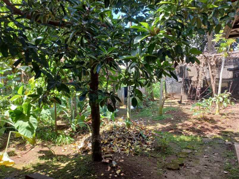 tanah jalan krukut raya limo