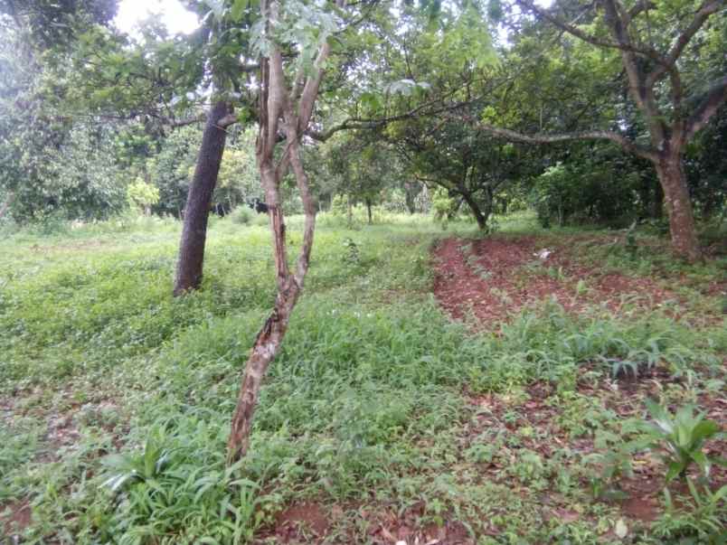 tanah jalan raya cikaregaman