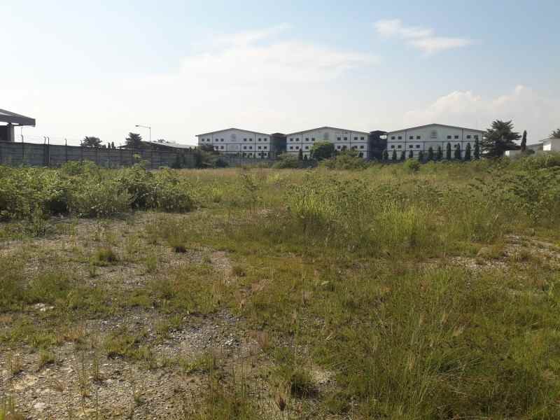 tanah jalan raya gresik babat