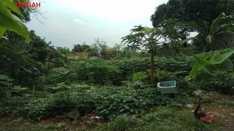 tanah jl andara dalam blok no