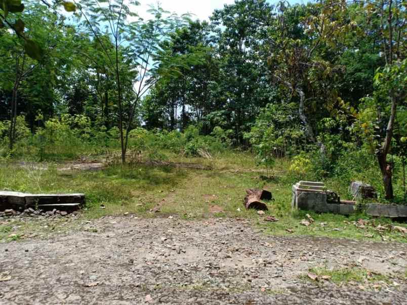 tanah jl karangpandan