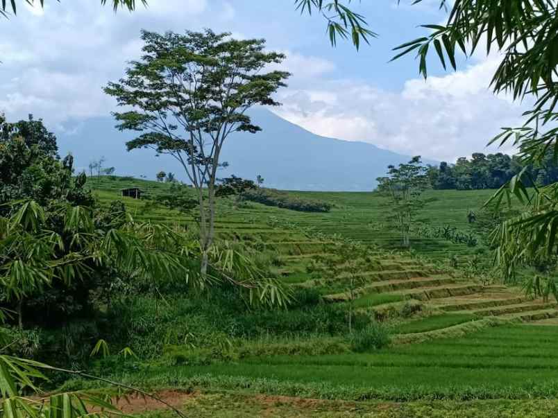 tanah jl karangpandan