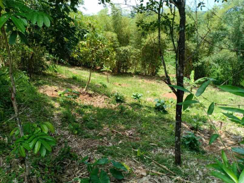 tanah jl karangpandan