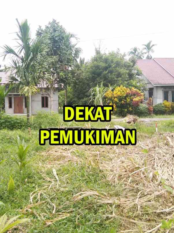 tanah kavling murah dekat pontianak