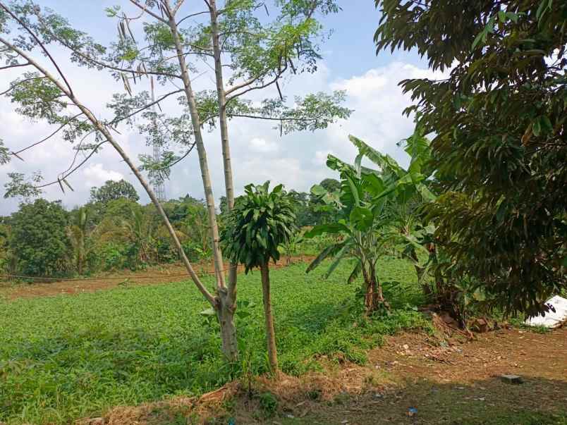 tanah lewubilik citeureup