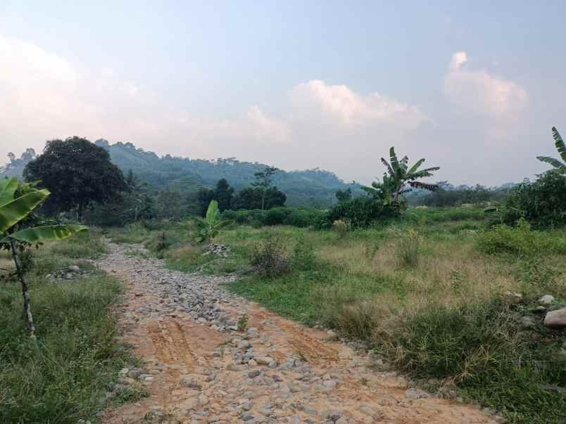 tanah lewubilik citeureup