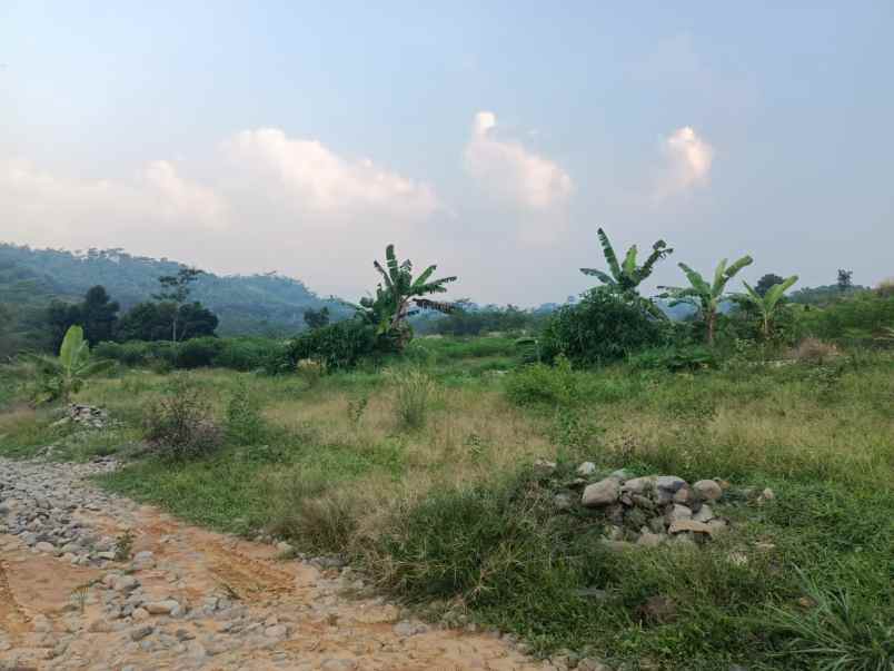 tanah lewubilik citeureup