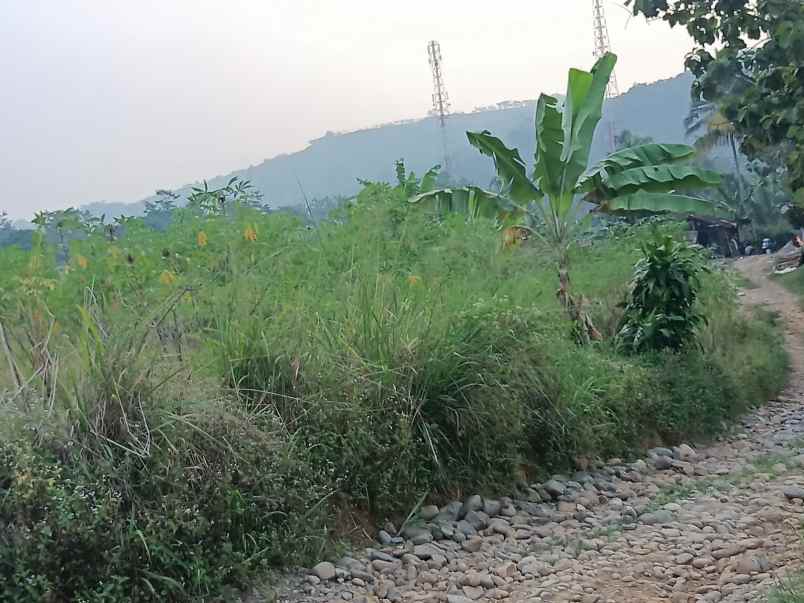 tanah lewubilik citeureup