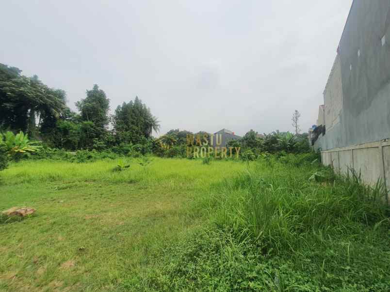 tanah luas di cipedak harga miring