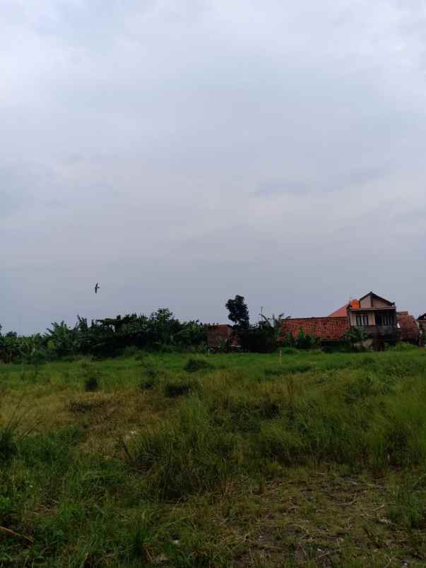 tanah matang mainroad jl soekarno hatta bandung