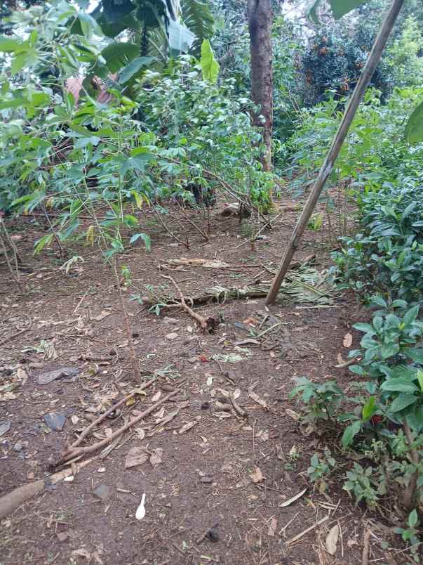 tanah murah posisi hook di wonolopo mijen