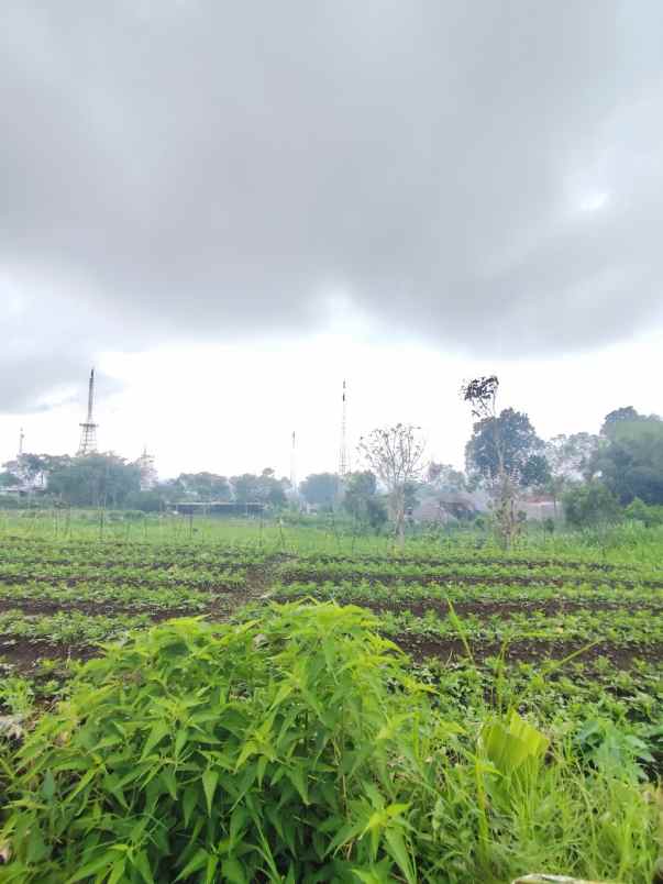 tanah murah strategis view menawan di kota batu