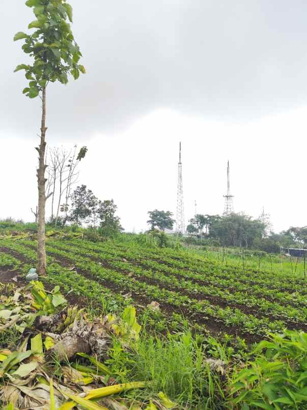 tanah murah strategis view menawan di kota batu