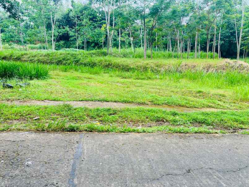 tanah pekarangan 5797m2 karangpandan karanganyar