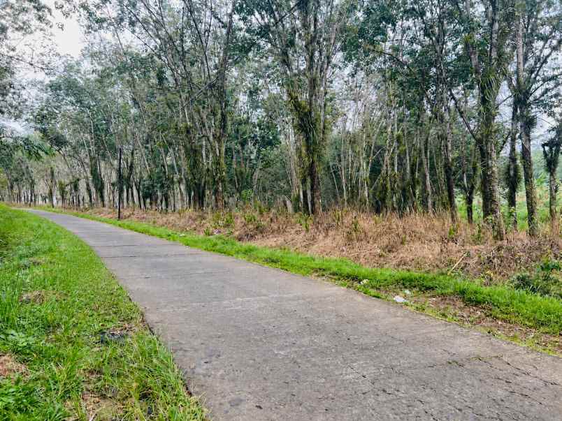 tanah pekarangan 5797m2 karangpandan karanganyar