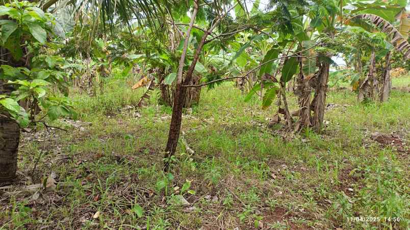tanah siap bangun di raden gunawan hajimena luas 400m