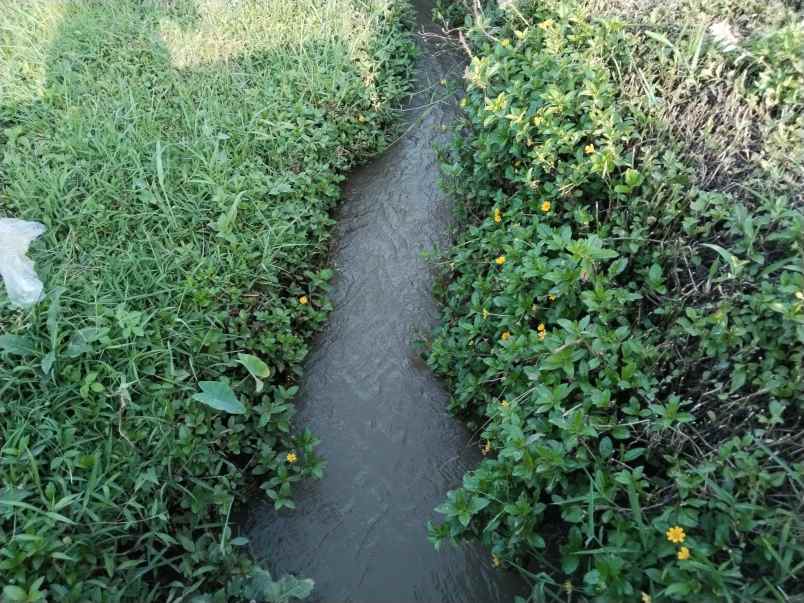 tanah subur air dekat sungai subang jawa barat