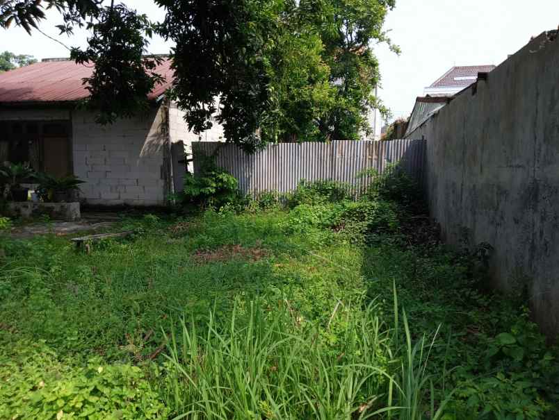 tanah tengah kota jalan jeruk lampersari semarang