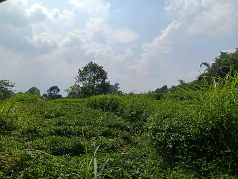 tanah tepi jl raya karangpandan