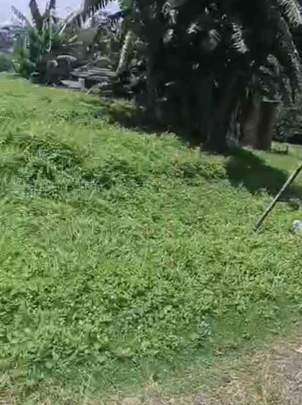 tanah wonosari ngaliyan semarang