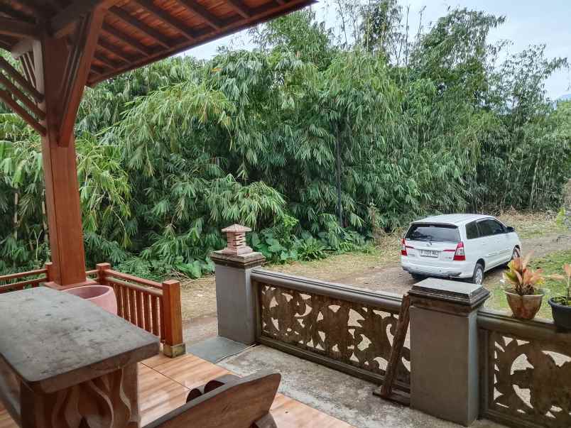 vila kebun ada kandang sapi kambing subang