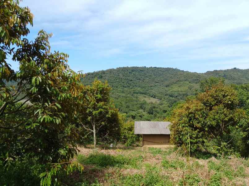 vila kebun durian subang jawa barat