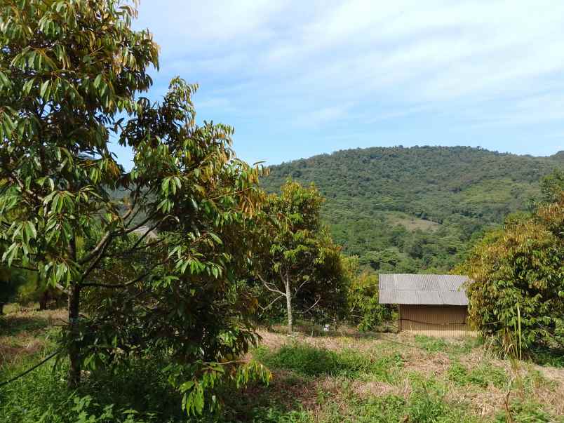vila kebun durian subang jawa barat