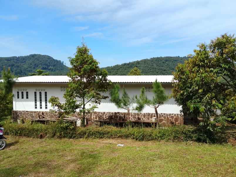 vila kebun durian subang jawa barat