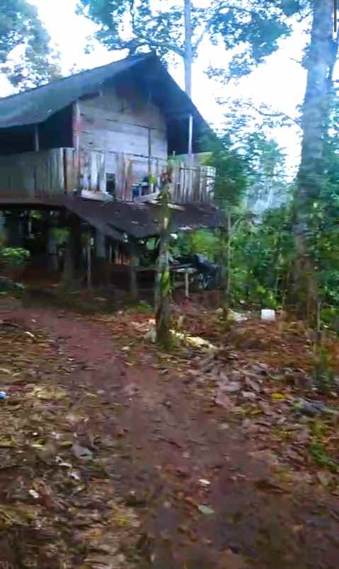 villa di bernung gedong tataan luas tanah 3371m