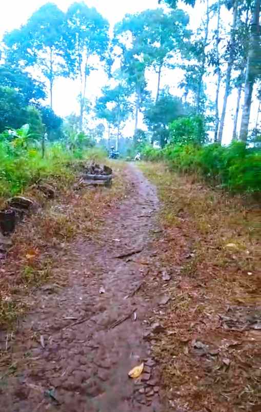 villa di bernung gedong tataan luas tanah 3371m