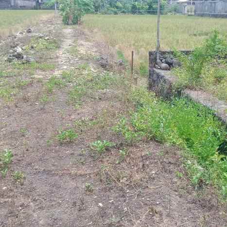 dijual 2 45 are jl tukad badung renon denpasar