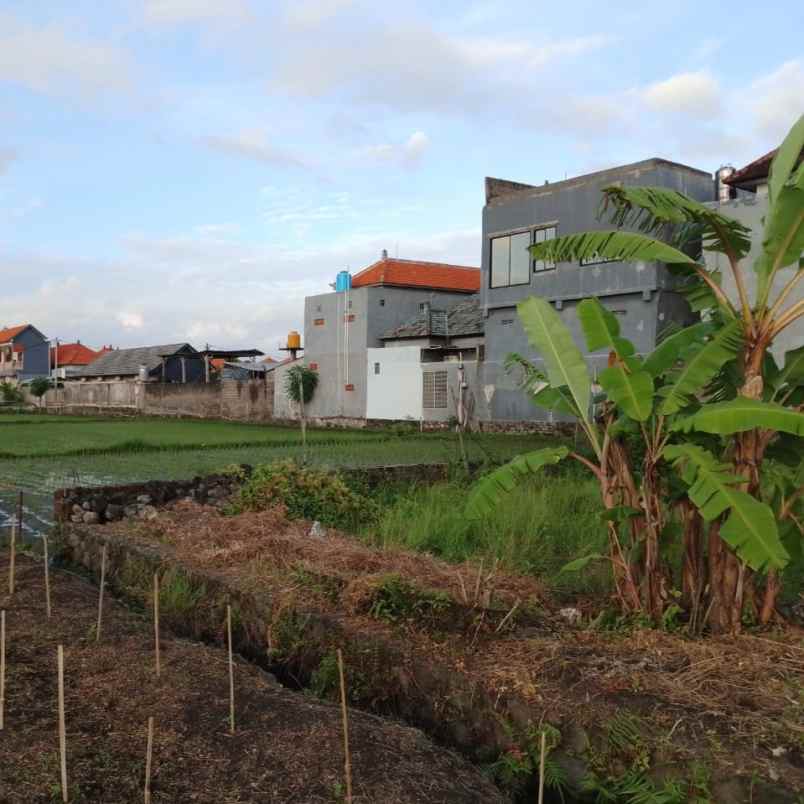 dijual 2 45 are jl tukad badung renon denpasar