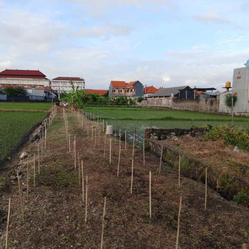 dijual 2 45 are jl tukad badung renon denpasar