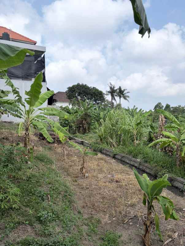 dijual 2 77 are jl pandu padonan dalung kuta utara