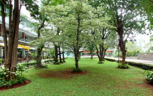 dijual apartemen jl raya kalibata rawajati