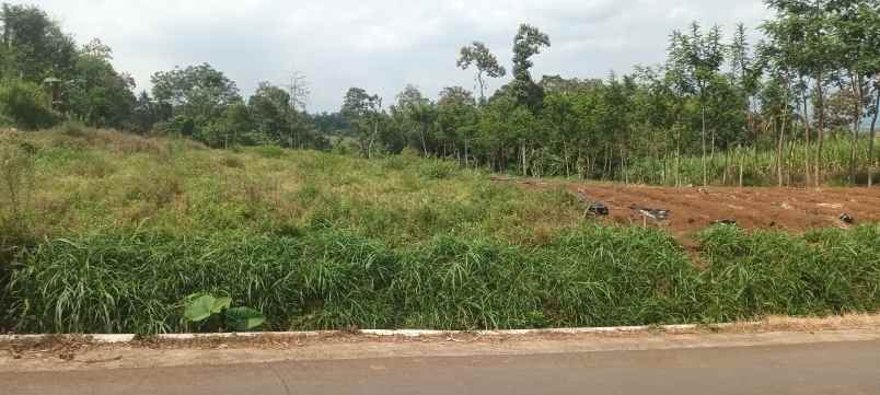 dijual cepat tanah pribadi murah