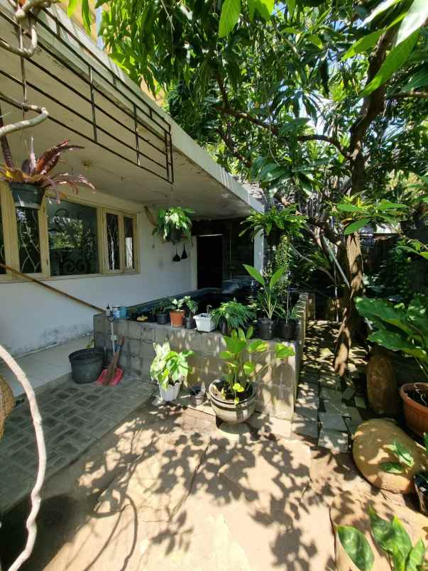 dijual rumah darmo baru barat