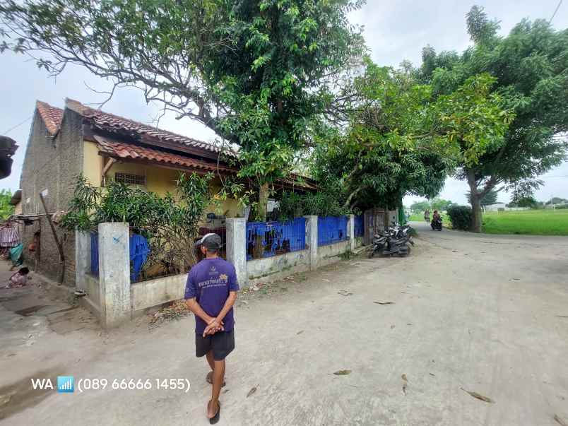 dijual rumah jalan belimbing kosambi